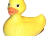 Rubber ducky.jpg